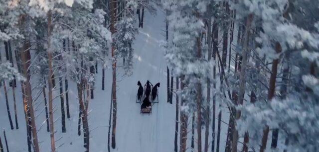     Фото: скрин с анонса программы