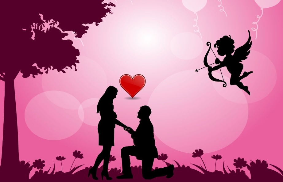 /картинка из доступного фонда Яндекс.Картинки/