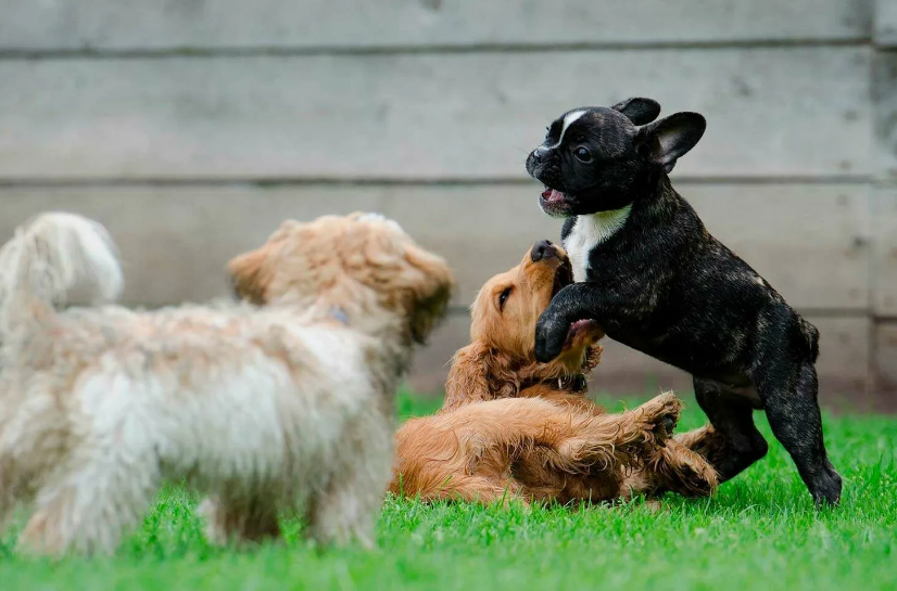Фото с сайта uslugi.yandex.ru