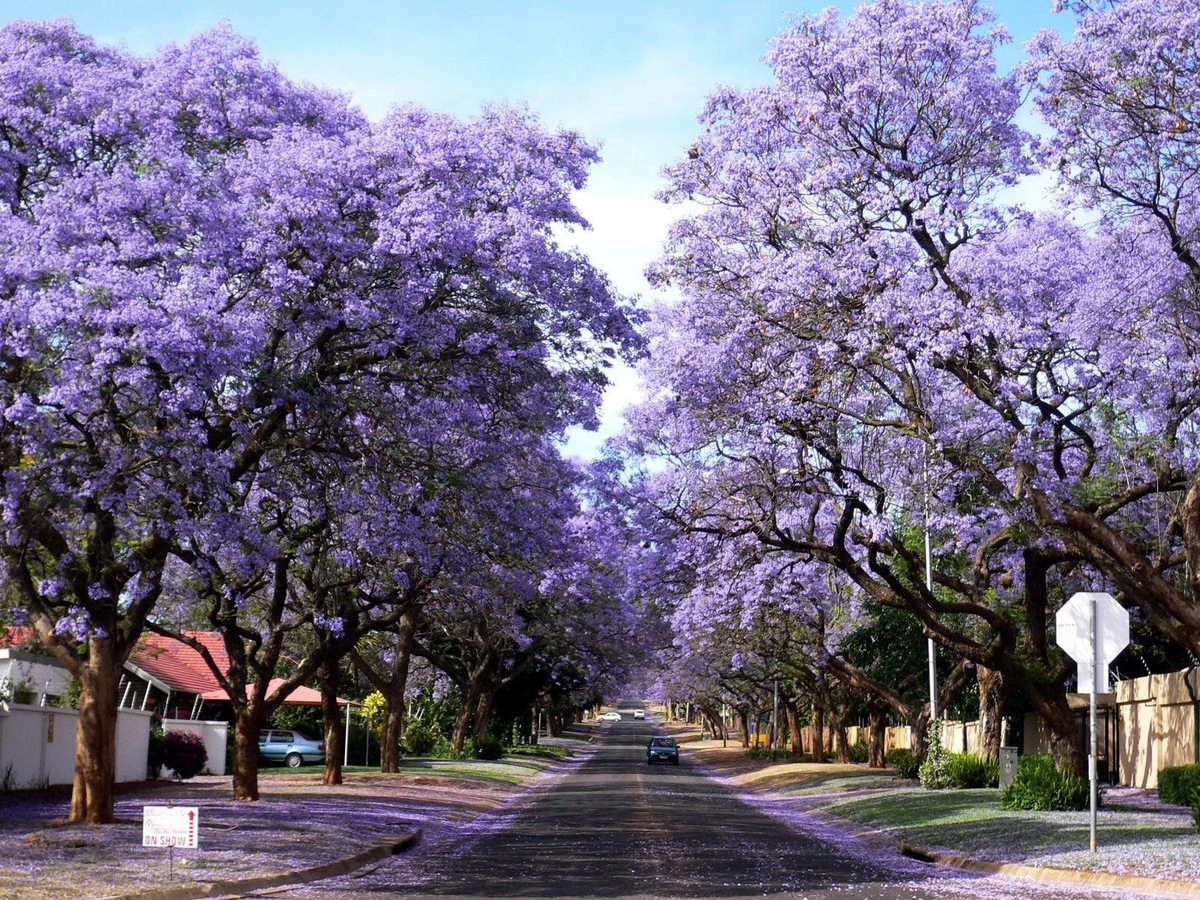 Фото из интернета.