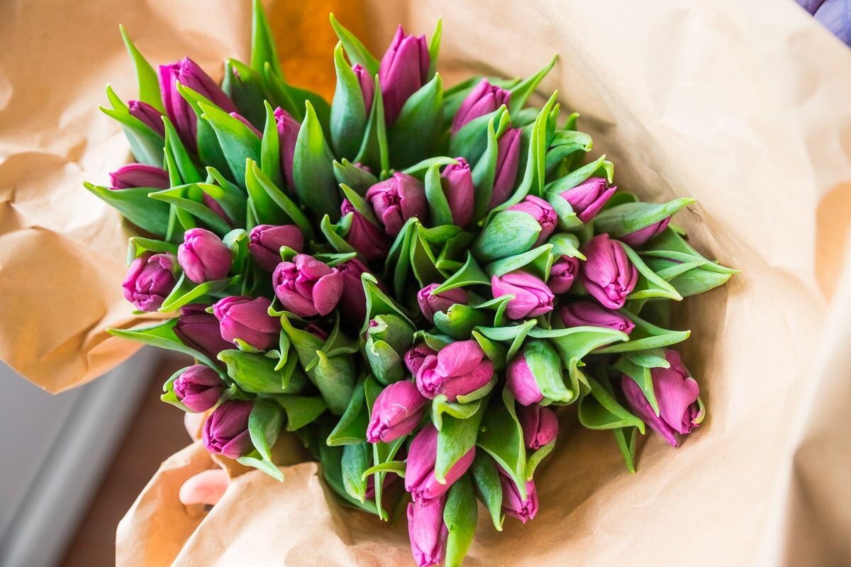    Фото: komarovka.by / Instagram