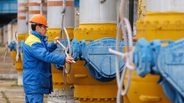    © Sputnik / Артем Кулекин