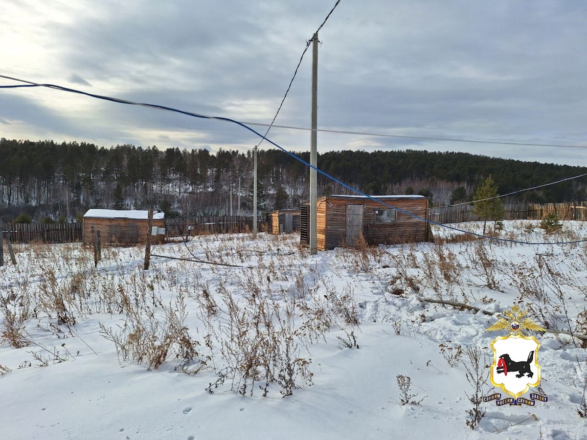 Фото: ГУ МВД по Иркутской области