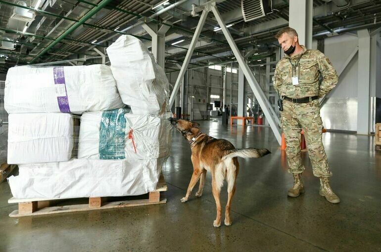   Андрей Никеричев / АГН Москва