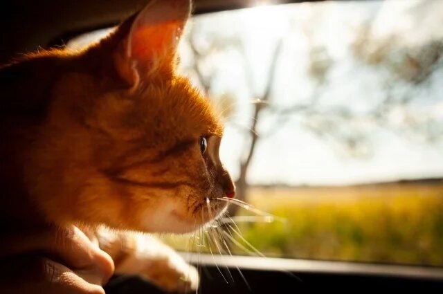    Какая погода будет в Красноярске в марте 2025?