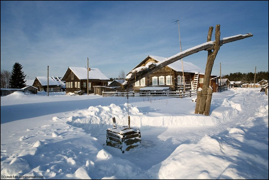 яндекс картинки