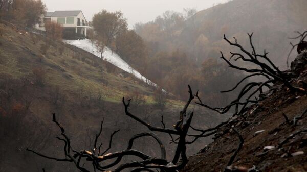    © Getty Images / Genaro Molina