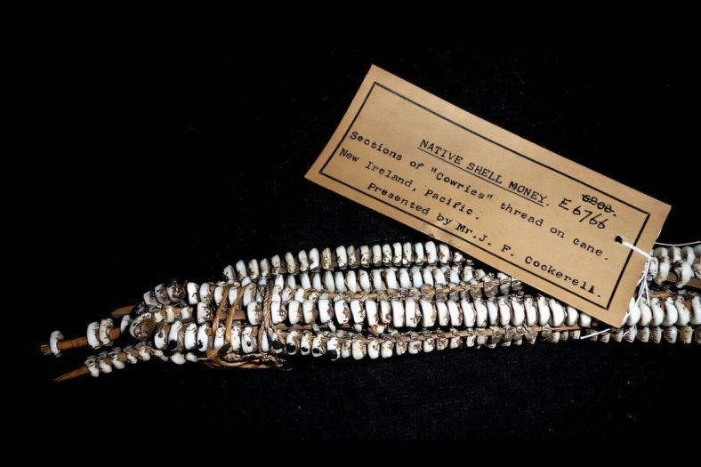    Фото Altered States of Monetary Consciousness