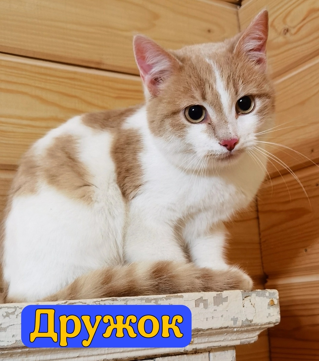 Один из двоих подкинутых