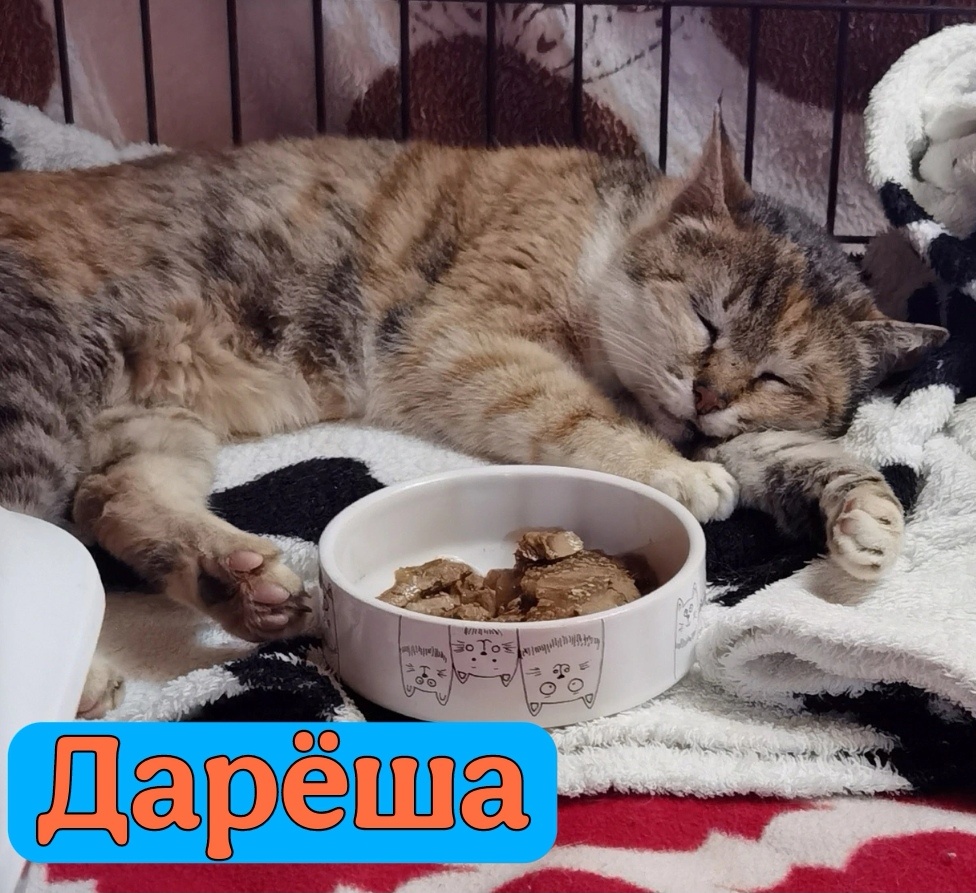 И второе наше приобретение