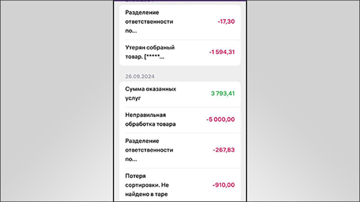 Перечень доходов (зелёные цифры) и суммы штрафов с указанием причины//Скриншот предоставлен Царьграду одной из сотрудниц "Вайлдберриз"