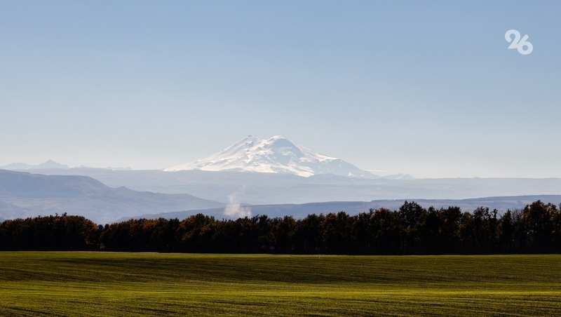      Фото: ИА «Победа26»