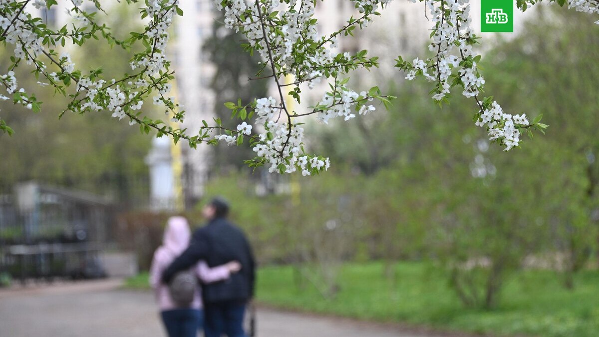    Фото: РИА Новости © 2025, Кирилл Каллиников