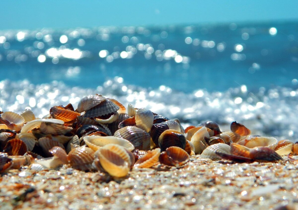 Из открытых источников интернета