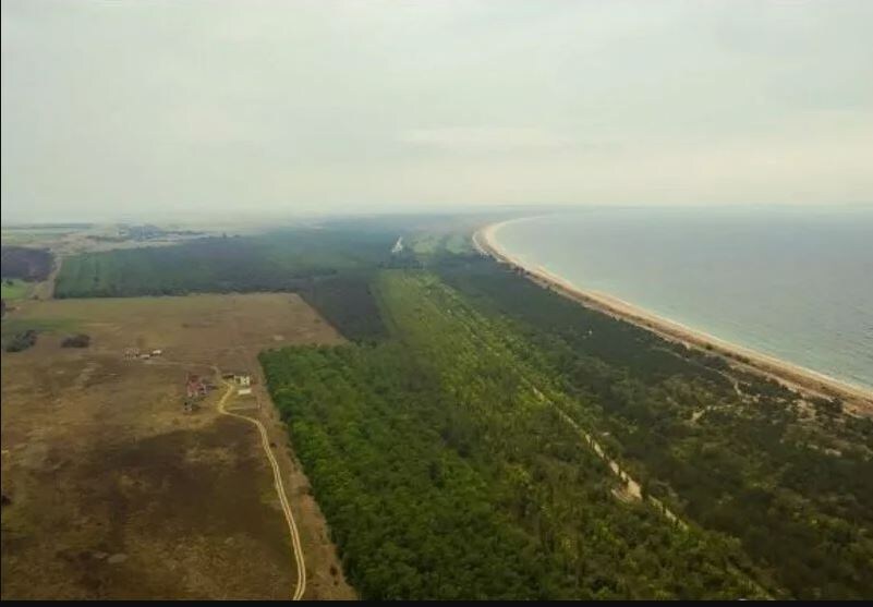 Ну, вот: не слишком активное освоение свидетельствует о неоднозначной ситуации. Картинка из объявления о продаже одного из таких участков.