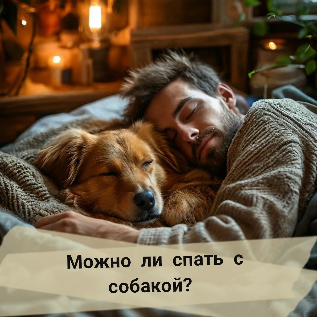 Коллаж автора с изображением от нейросети Шедеврум для обложки статьи. Сгенерировано по запросу автора. 