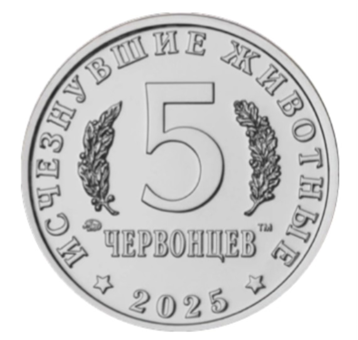 Лицевая сторона жетона