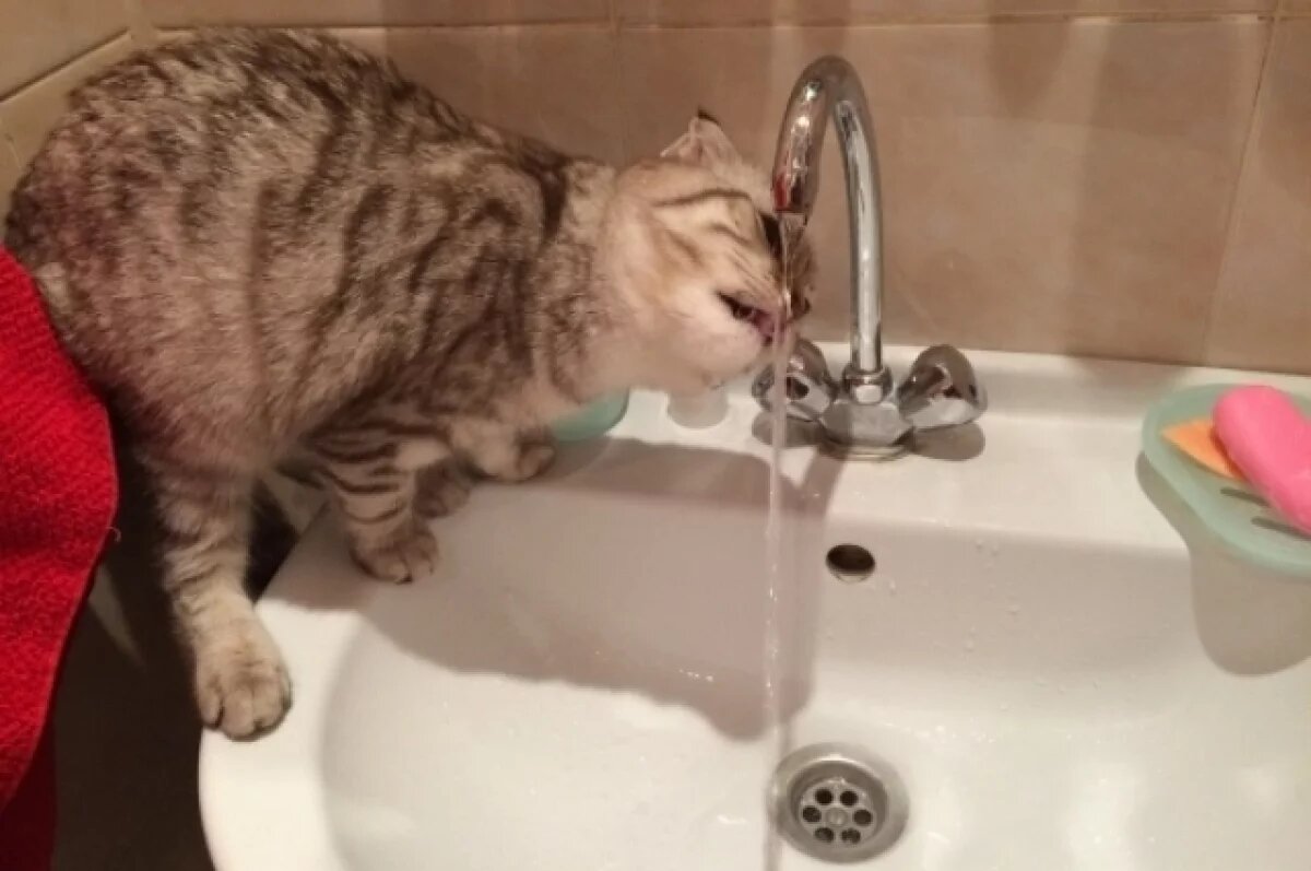    Мэрии Ижевска дали пять лет на то, чтобы дать воду многодетным в Люллях