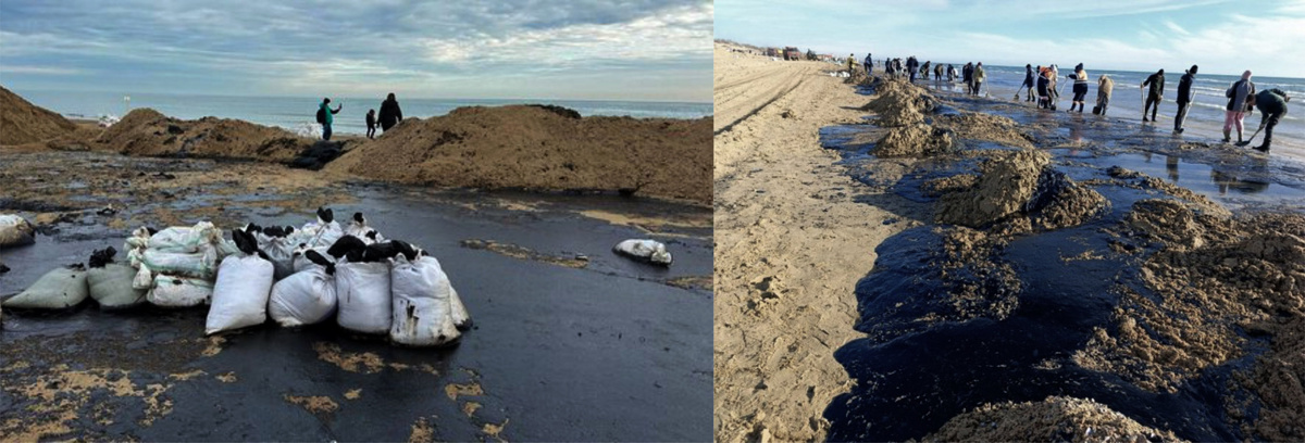 Мазут на Бугазской Косе в Анапе