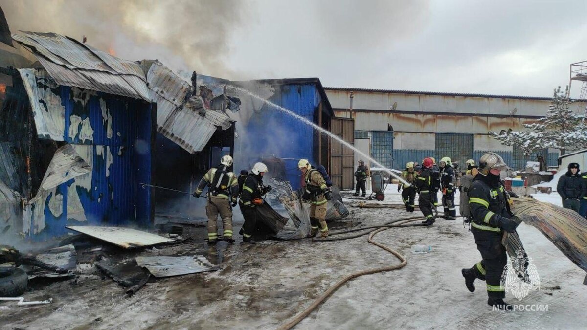    Фото: t.me/mchspetersburg