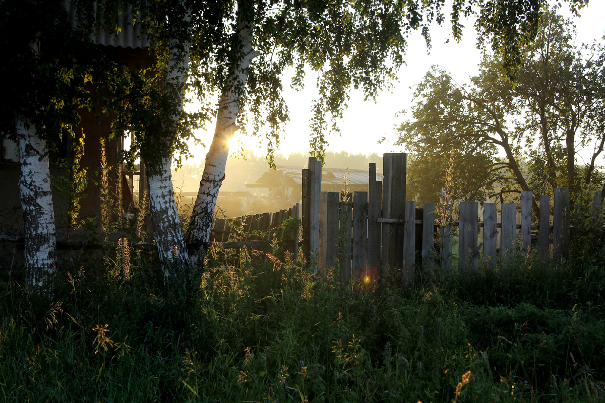 Утренний туман