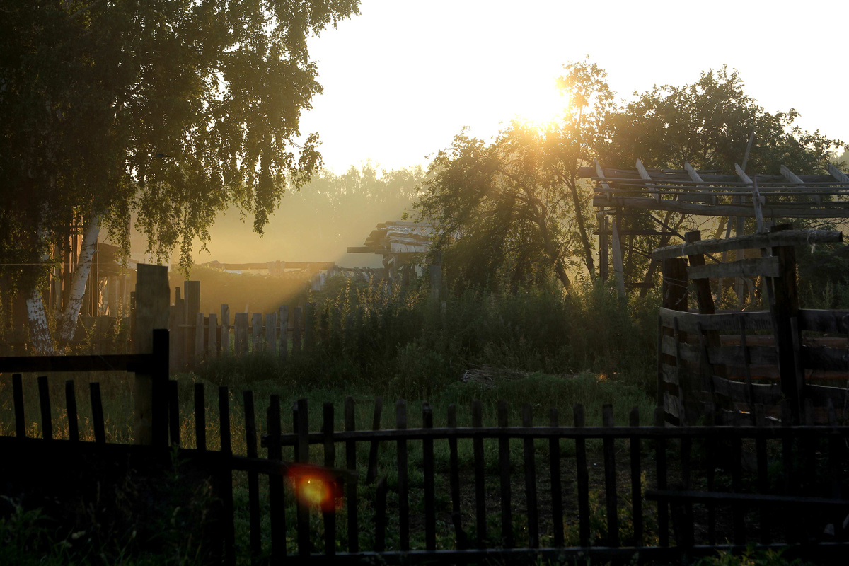 Июльское утро