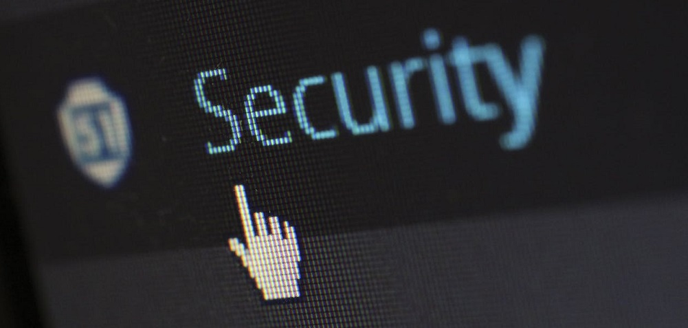 Xeoma является полностью российской разработкой, благодаря чему подходит для импортозамещения