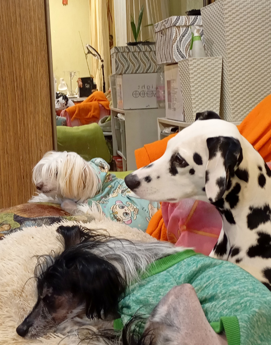 Смотрим телевизор.