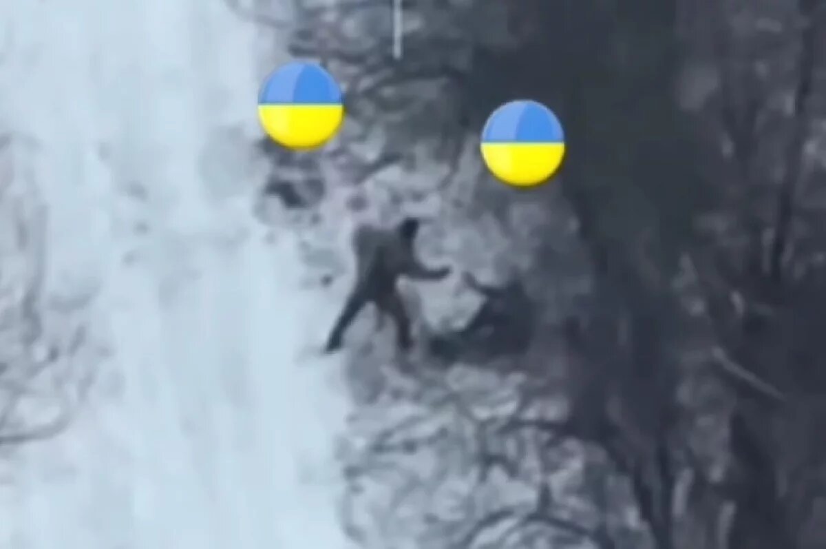    Российские БПЛА запечатлели заблудившихся в лесу пьяных украинских солдат