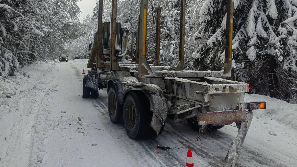    Фото: t.me/sledcom47