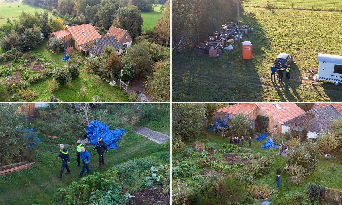 Дом ван Дорстенов и прилегающий участок. Источник фото: https://www.dailymail.co.uk/