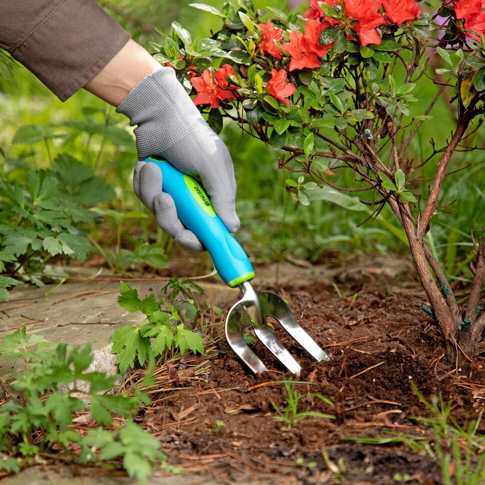 Не забывайте землю вокруг ствола пропушивать