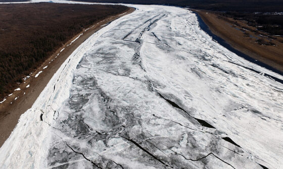     Фото: Минприроды