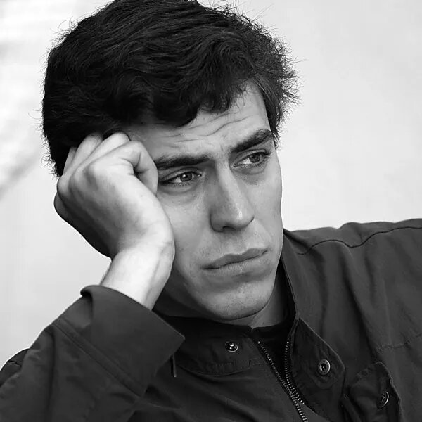 Дмитрий Дюжев
