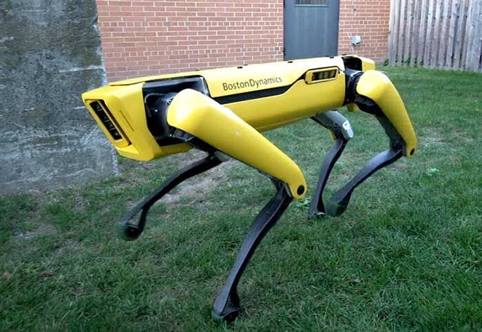 фото с pinterest