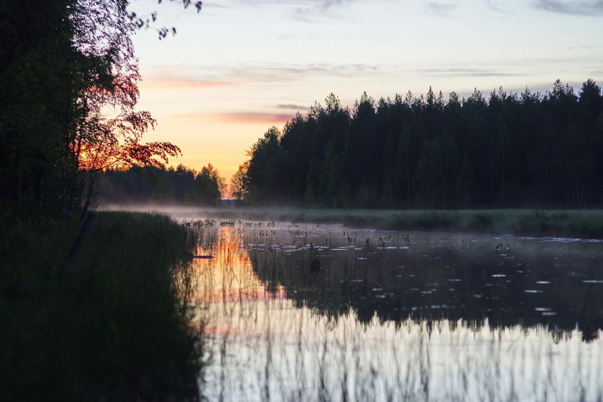 Любительская рыбалка обладает мощным аттрактивным эффектом. Извлекаемым не только от поимки рыбы, но и самого нахождения в условиях первозданной природы? // фото моё, утро в Карелии.