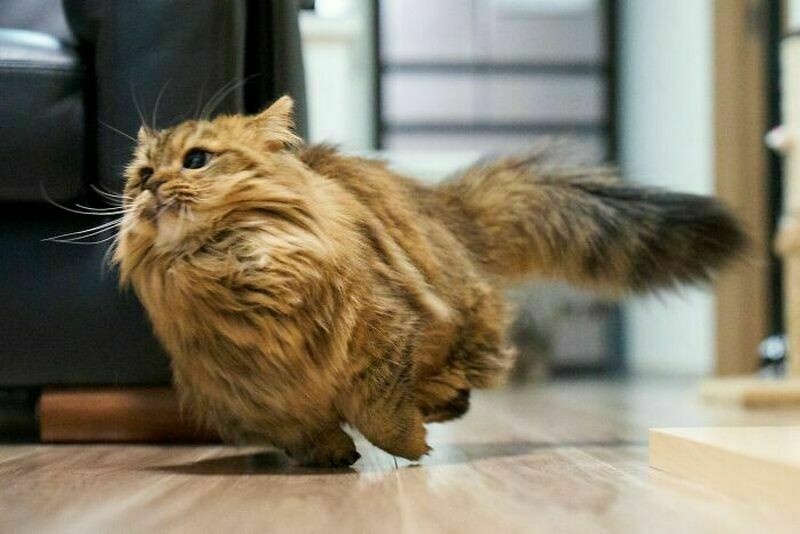 Источник: Яндекс.