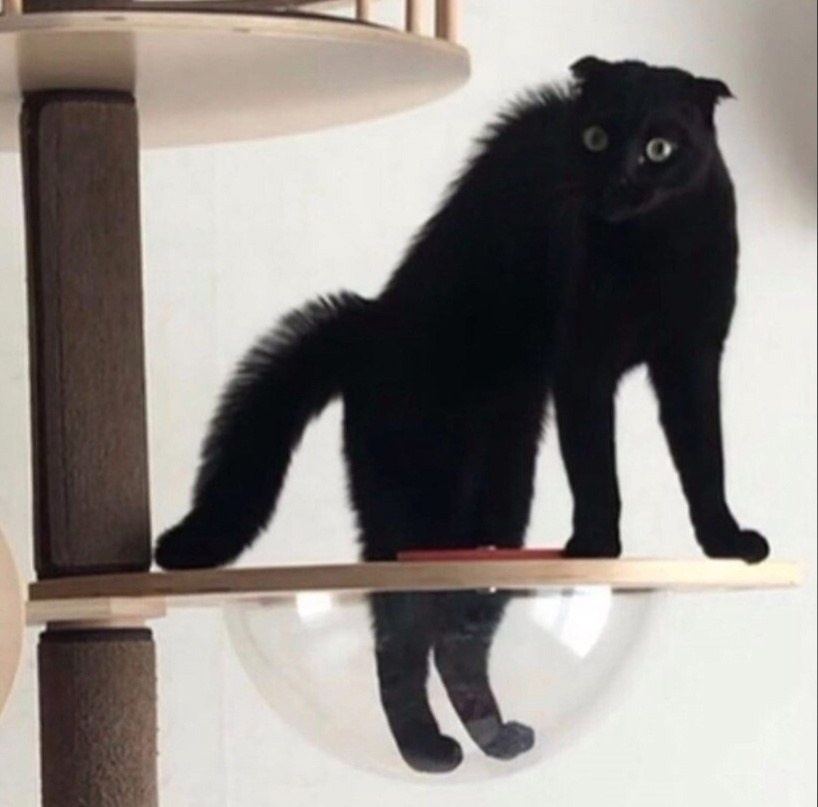 Источник: Яндекс.