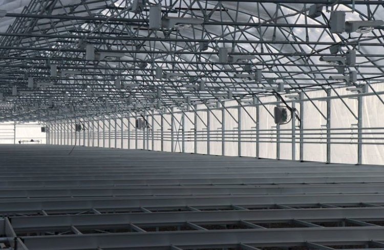    Тепличный комплекс «Позитив» из Чувашии готовится к первому урожаю салата