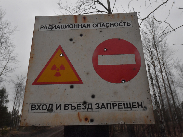 Фото: Global Look Press