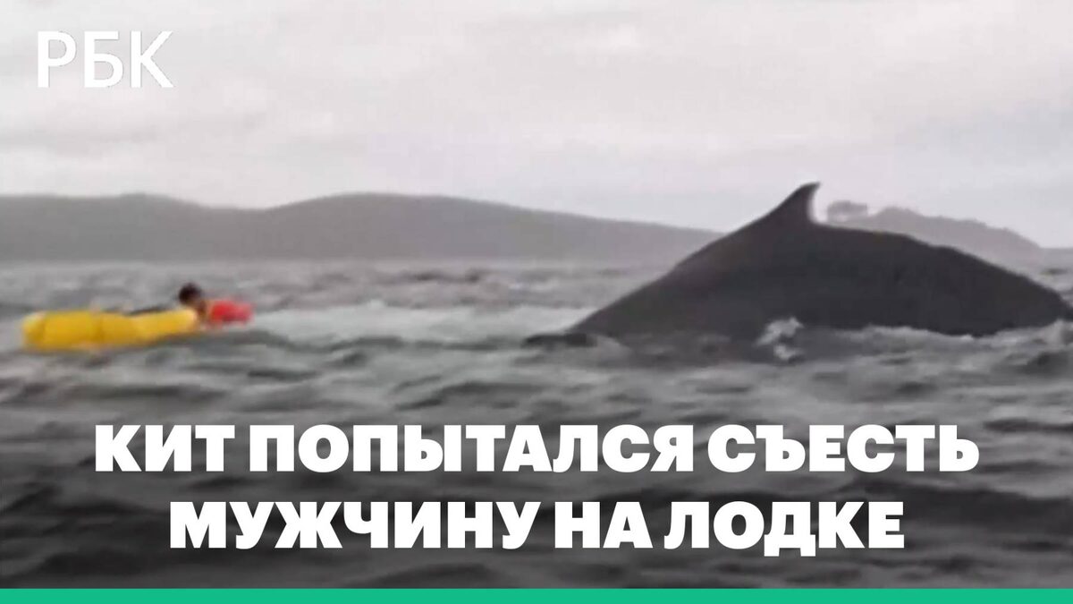 Фото из открытых источников сети Интернета (Яндекс - картинки)