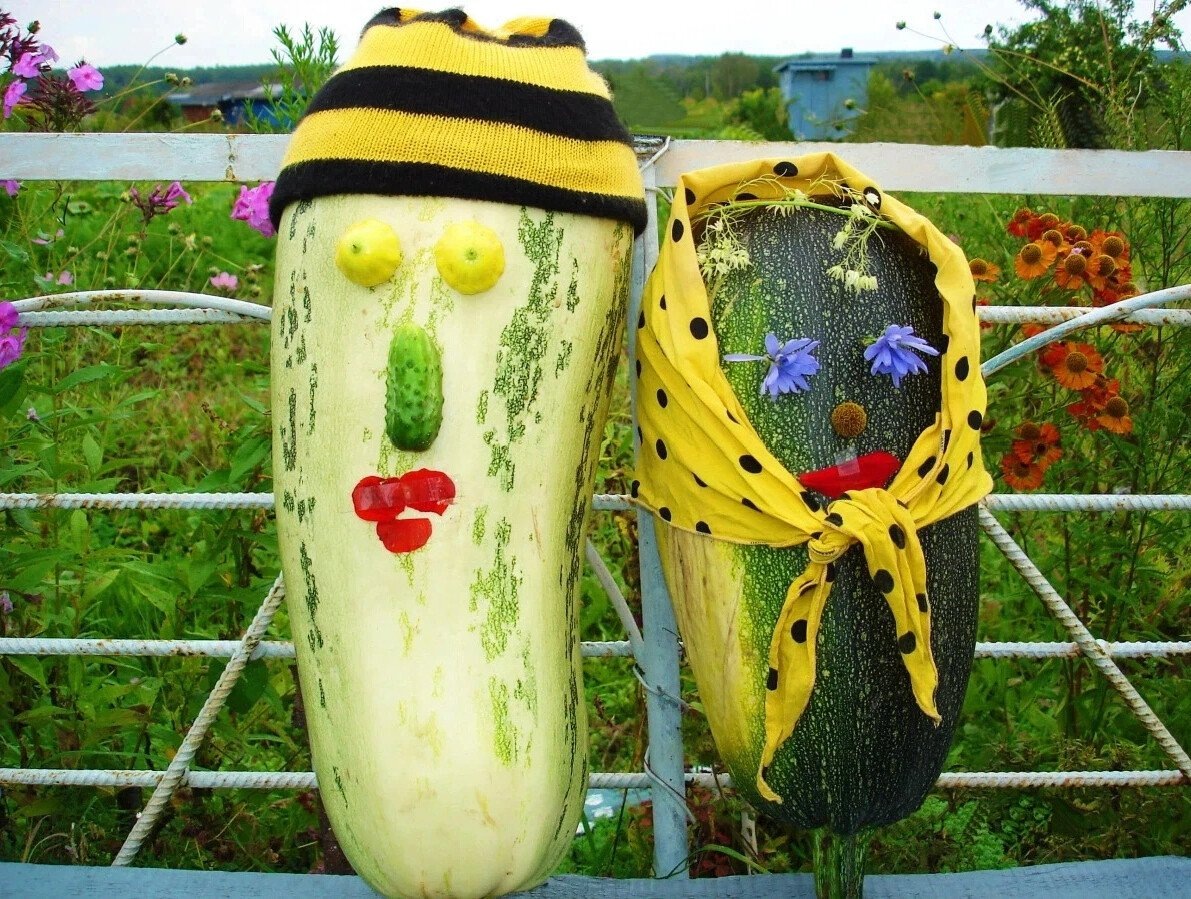    Камбачки: как мем изменил нашу жизнь и стал символом эпохи