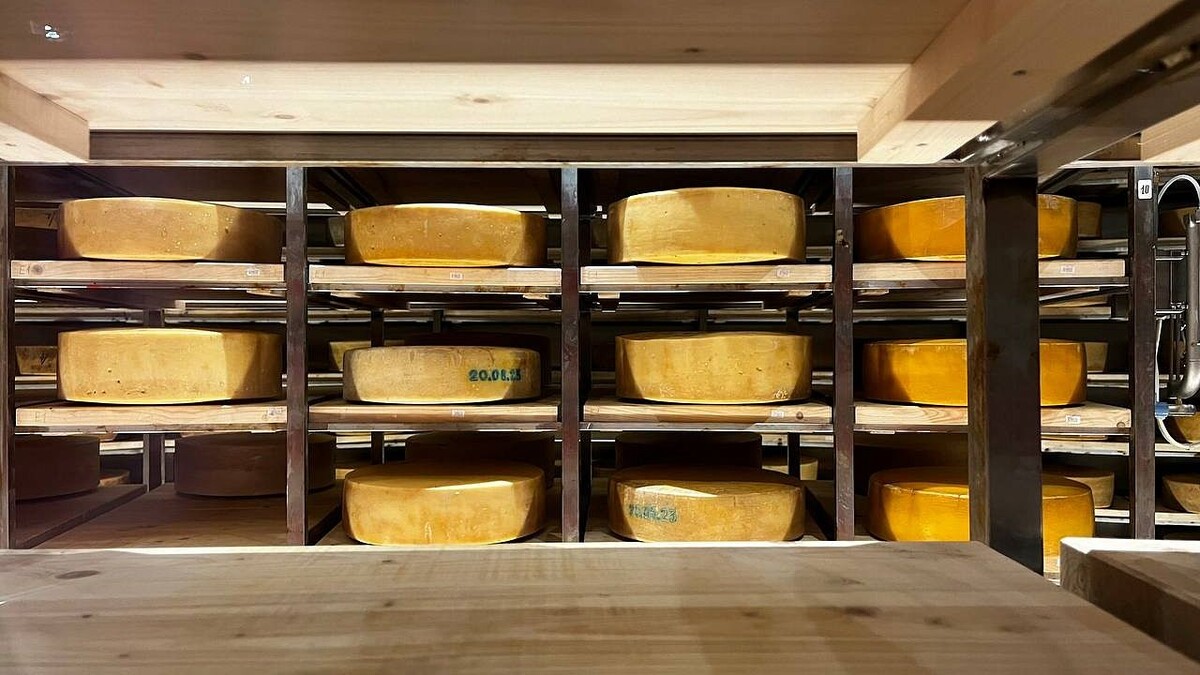    Фото: телеканал «Краснодар»