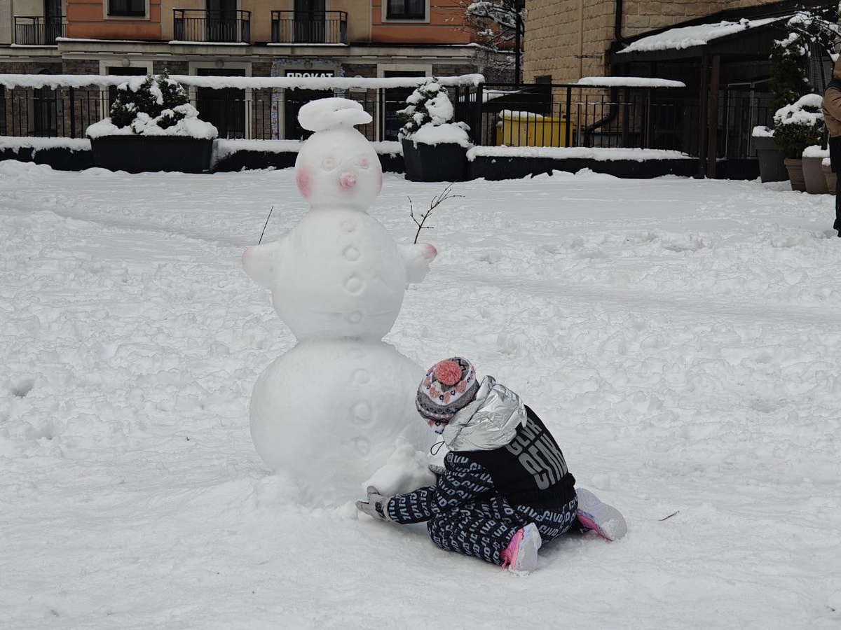    Фото: Юрий Серебренников/BFM Кубань