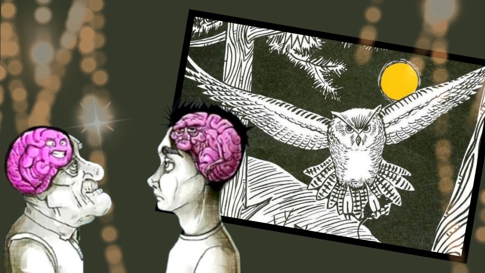 Японская головоломка на старение мозга и внимательность: найти 6 предметов за 30 секунд могут лишь единицы