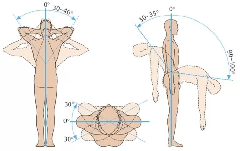 Нормы подвижности позвоночника