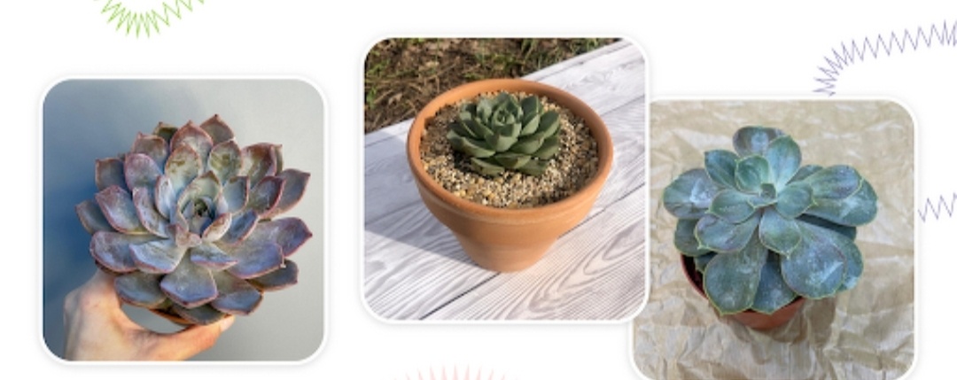 Ну красиво же