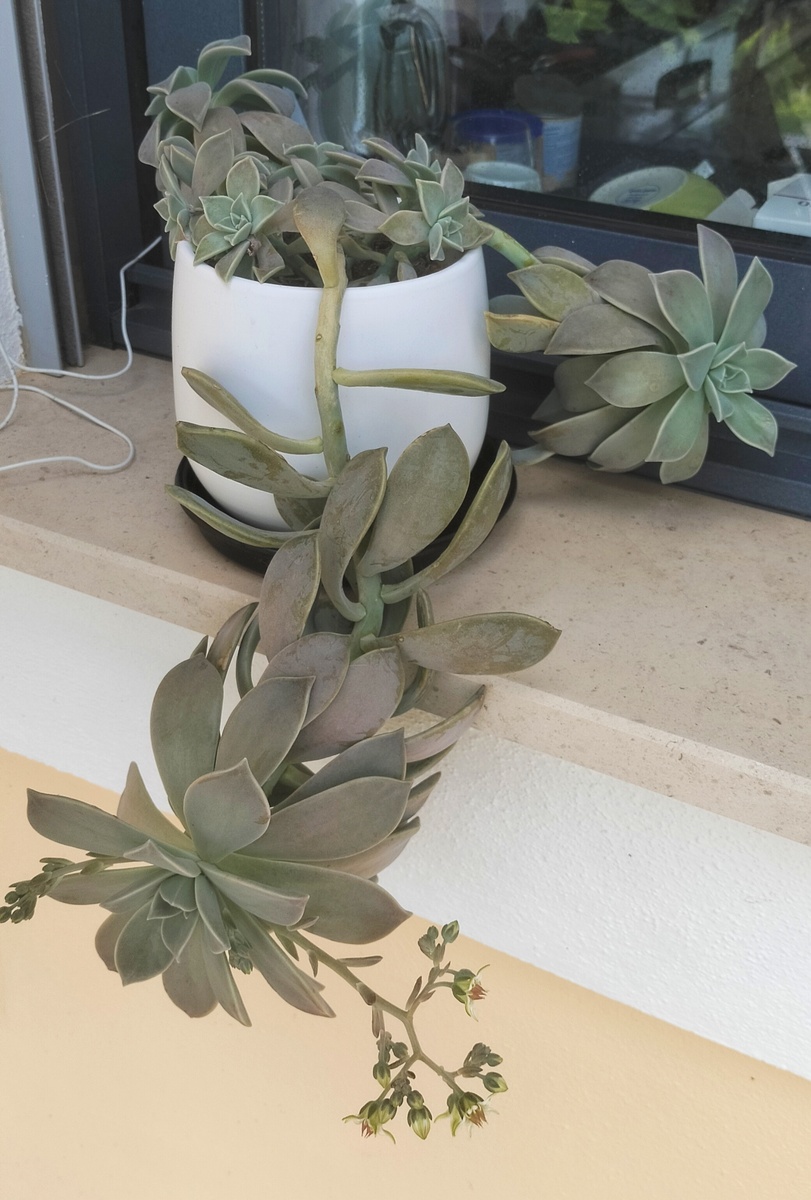 Ну вот что это такое?