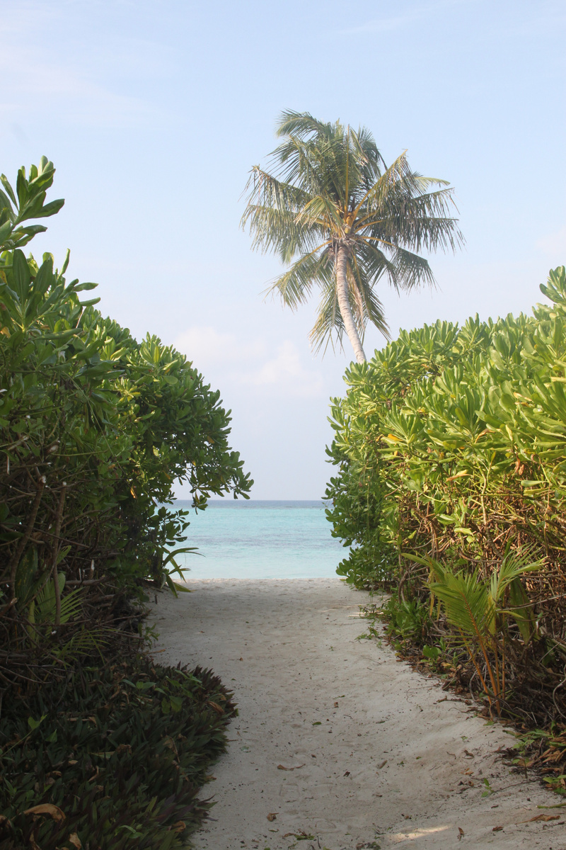 Зелень, океан, релакс...