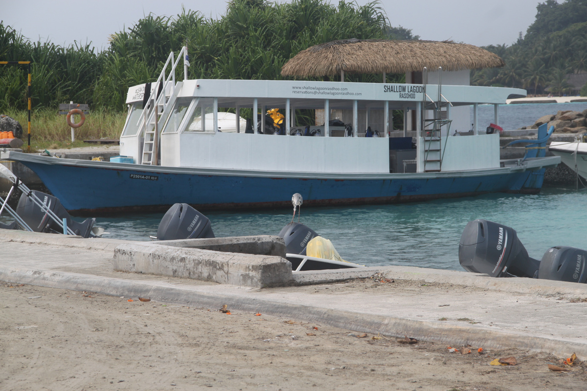 На Мальждивах лодки самые разные